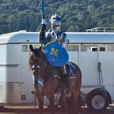 Sir Edwin in armour on a bay horse, carrying a lance and a blue shield with a white fleur-de-lis.